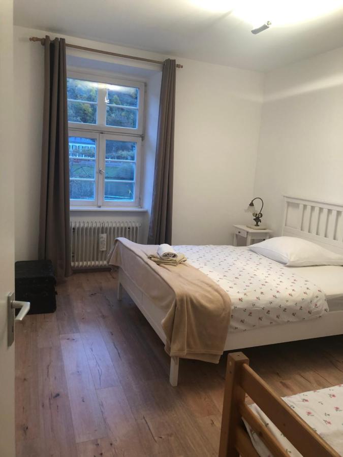 Philosophen Und Neckarblick Apartment ไฮเดลเบิร์ก ภายนอก รูปภาพ